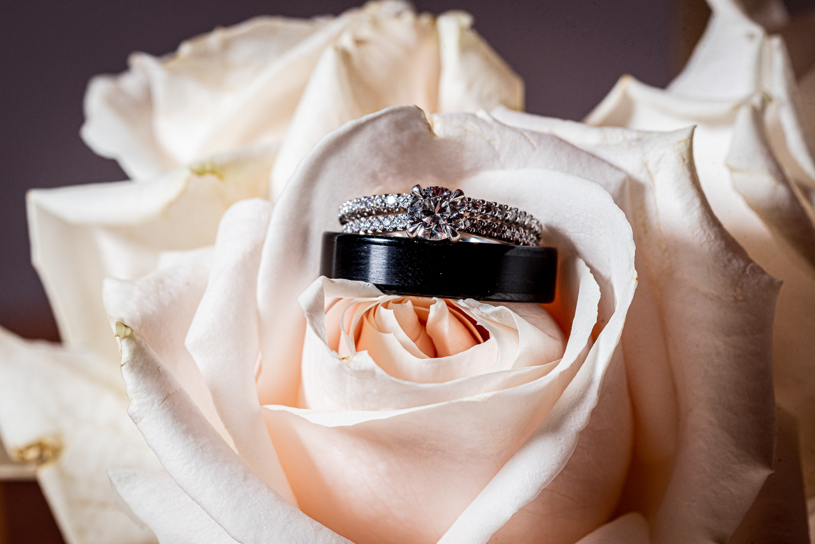 Wedding rings, engagement ring, wedding band, flower, white rose, urban wedding ceremony at Penthouse Events, Ohio City, Cleveland Flats